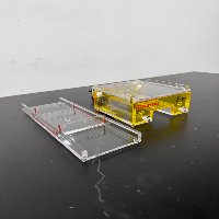 Thermo Scientific Owl D2-BP Electrophoresis System image 0